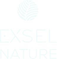 Logo Exsel nature bl