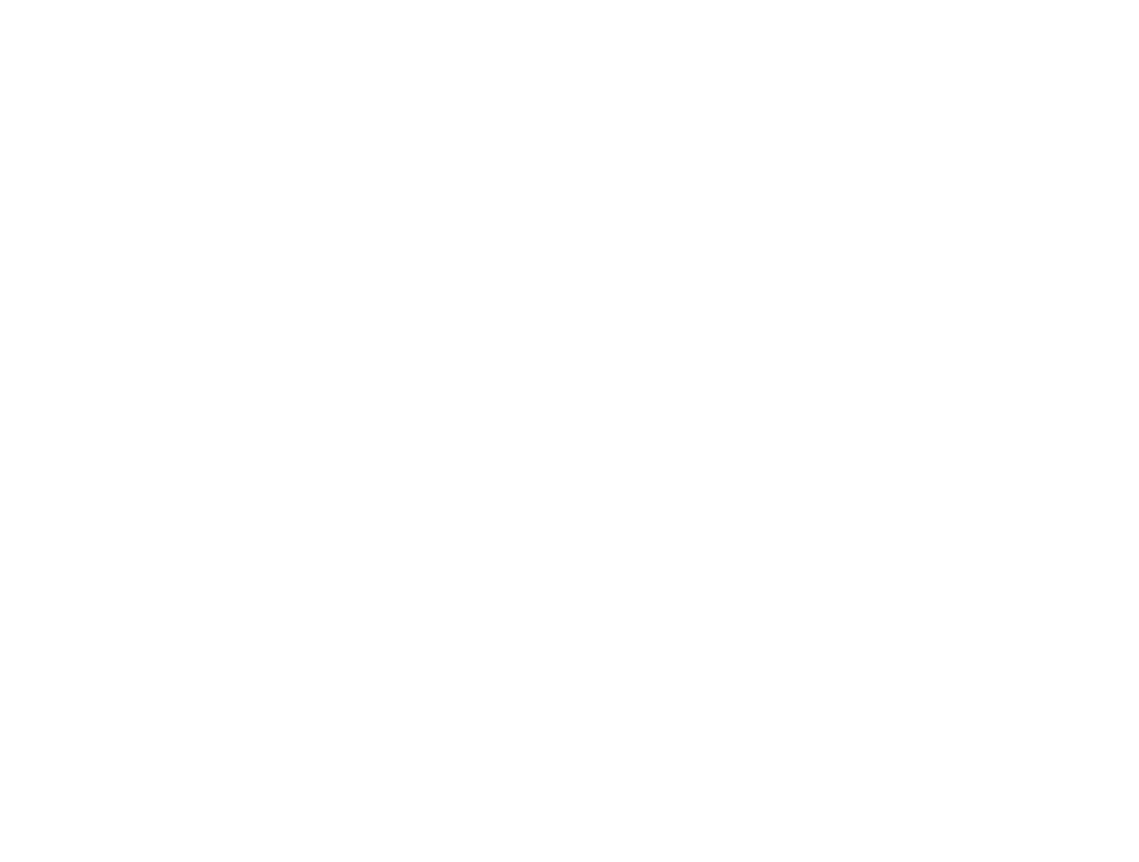 hotel austral logo footer