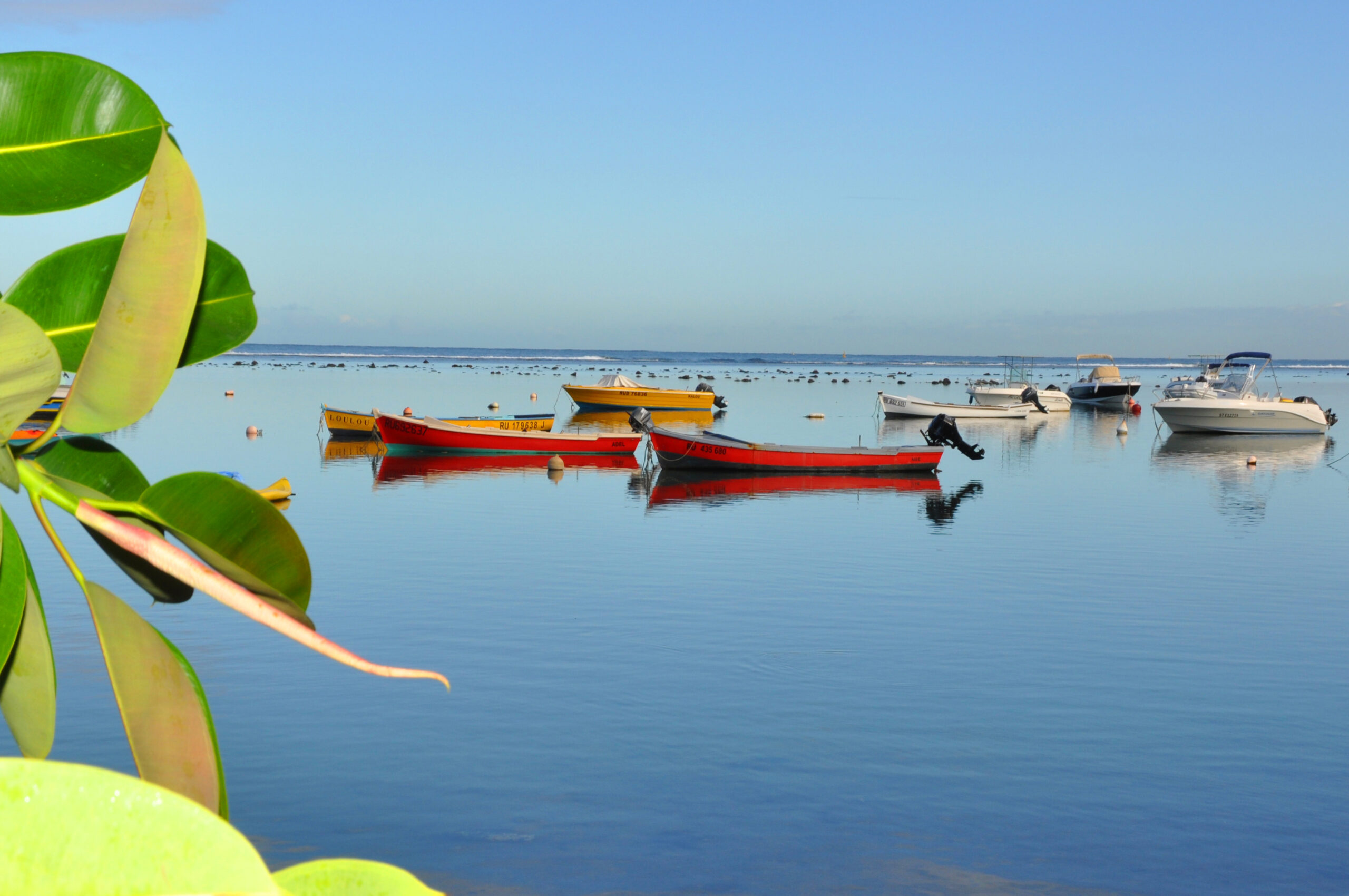 Bassin pirogue Etang salé