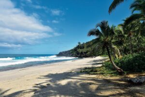 Plage de Grande Anse vagues cartedelareunion.fr © Serge Gelabert 1199x800