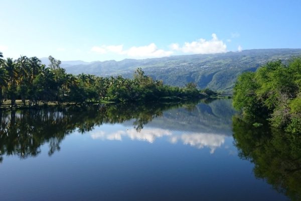 GIP ramsar